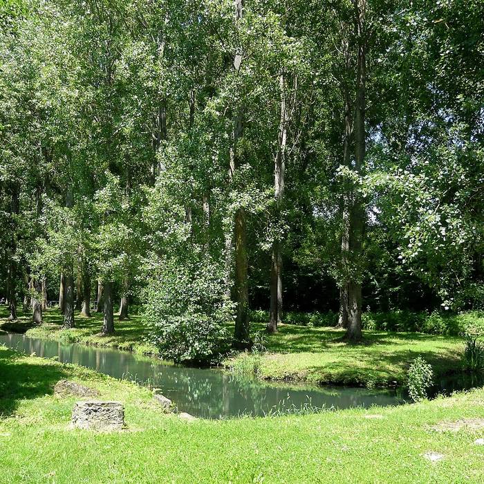 Photo de Anciens bâtiments de la Grange aux dîmes